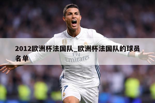 2012欧洲杯法国队_欧洲杯法国队的球员名单
